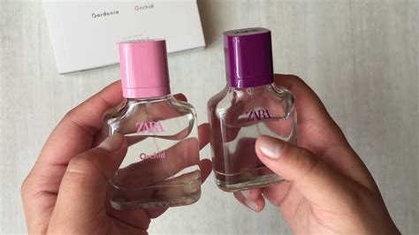 sunlight bouquet zara perfume dupe|zara orchid perfume dupe.